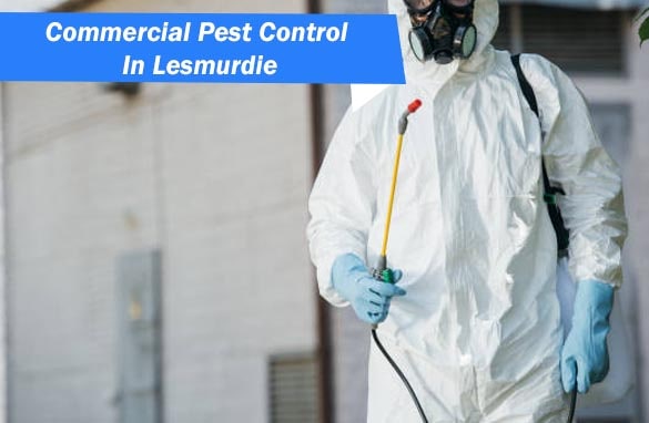 Commercial Pest Control Services In Lesmurdie